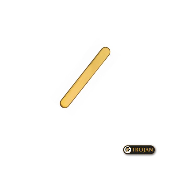 BLANK DUMMY DOOR HANDLE GOLD LBP